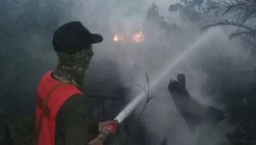 Dicecar Soal Kebakaran Hutan dan Lahan, Sekjen KLHK : Kami Sedang Kerja