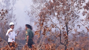 Jokowi Kecewa Perangkat Daerah tak Optimal Cegah Karhutla