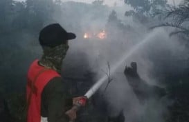 DAMPAK KEBAKARAN HUTAN & LAHAN : Kabut Asap, Sanksi Tegas & Solusi Bernilai Ekonomi