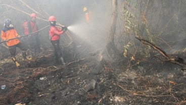 Presiden Pantau Upaya Pemadaman Karhutla di Riau, Selasa 17 September