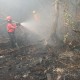 Dua Pesawat Tambahan Dikerahkan Atasi Karhutla di Riau