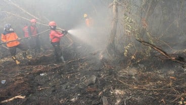 Data AirVisual: Kualitas Udara Palangkaraya, Jambi, Riau Berbahaya dan Tidak Sehat