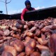 Industri Pengolahan Kakao Minta Bea Masuk Impor Bahan Baku Dihapus