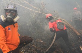 WWF Sebut Karhutla di Indonesia Mirip dengan Kebakaran Hutan Amazon