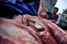 Simpang-siur Label Halal Impor Daging, Ini Respons GINSI