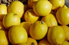 Hanya dengan Mencium Aroma Lemon Bisa Membuat Orang Merasa Lebih Langsing