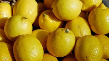 Hanya dengan Mencium Aroma Lemon Bisa Membuat Orang Merasa Lebih Langsing