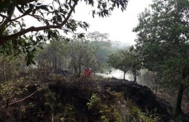 Pertamina EP Bantu Tangani Karhutla di Sekitar Wilayah Kerja