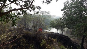 Pertamina EP Bantu Tangani Karhutla di Sekitar Wilayah Kerja