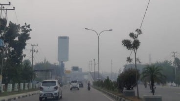 Bayi Usia 3 Hari Diduga Meninggal Akibat Kabut Asap, Begini Tindakan Diskes Riau