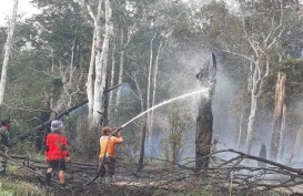 Kasus Karhutla, Titik Api di Pulau Kalimantan Meningkat