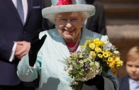 Tertinggal di Buckingham, Ratu Elizabeth Pulangkan Monyet Mainan Seorang Anak ke Australia