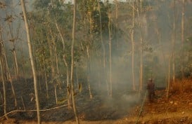 Kebakaran Gunung Slamet, Lima Kabupaten Terdampak