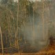 Kebakaran Gunung Slamet, Lima Kabupaten Terdampak