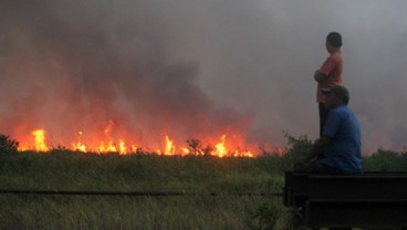 Hutan Perhutani di Lereng Gunung Sumbing Terbakar, Begini Nasib 134 Pendaki