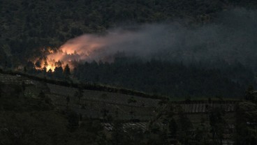 Pemadaman Kebakaran Gunung Slamet Tunggu Water Bombing