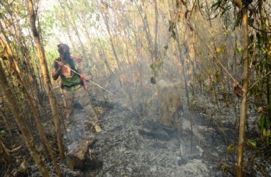 Kerugian Aset Kaltim Akibat Karhutla Mencapai 672 Hektare