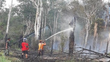 Jokowi Berharap Kerja Keras Pemerintah dan Relawan Dapat Kurangi Karhutla