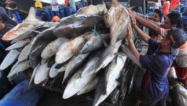 KKP Bakal Hidupkan Kembali Sejumlah Tempat Pelelangan Ikan di Daerah