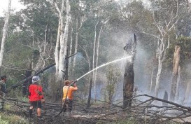 BNPB: Asap Karhutla dari Sumatra dan Kalimantan Kumpul di Pekanbaru