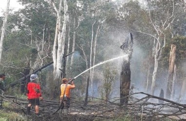 KLHK Dorong Pemda Tindak Tegas Pelaku Karhutla