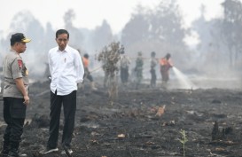 Bank Indonesia: Kebakaran Hutan Ancam Pertumbuhan Ekonomi 