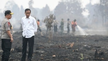 Bank Indonesia: Kebakaran Hutan Ancam Pertumbuhan Ekonomi 