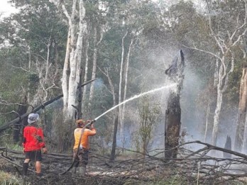 Korporasi Tersangka Karhutla Bertambah Menjadi 15