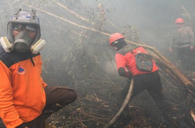 Konsumsi BBM Riau Turun 15 Persen Akibat Kabut Asap