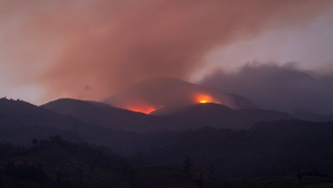 90 Persen Kebakaran Hutan dan Lahan di Jateng karena Ulah Manusia