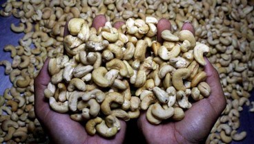 Penelitian Buktikan Makan Kacang Cegah Berat Badan Naik