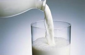 Benarkah Susu Hanya Untuk Anak-Anak? Ini Faktanya