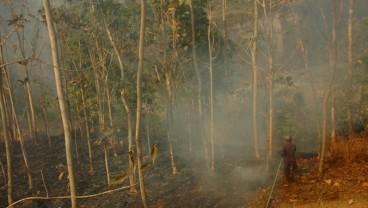 BNPB: 26,5 Hektar Area Terbakar di Gunung Sumbing