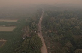 Warganya Tak Lagi Bakar Hutan, Desa Dataran Kempas di Jambi Diganjar Penghargaan