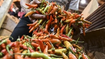 Inflasi Riau Masih Dipengaruhi 'Volatile Food' Terutama Cabai