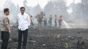 Karhutla Riau Masih Terjadi di Tiga Kabupaten