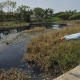 Dedi: Cabut Subsidi dan Izin Usaha Pencemar Sungai