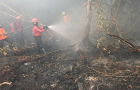 Tiga Daerah di Riau Sedang Terjadi Karhutla