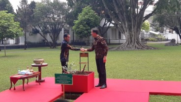 PM Belanda Mark Rutte ke Istana Bogor, Jokowi Bahas Kebijakan UE Soal Sawit