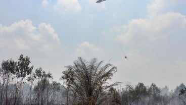 Dua Perusahaan Sawit Disegel KLHK Tergabung dalam Gapki