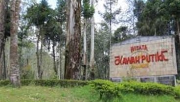 Akibat Kebakaran Hutan, Kawasan Ciwidey Ditutup