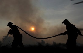 15 Hektare Lahan Kawah Putih Ciwidey Terbakar, Tim Gabungan Terjun