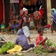 Panglima TNI Siapkan Hercules Antar Pengungsi Kembali ke Wamena