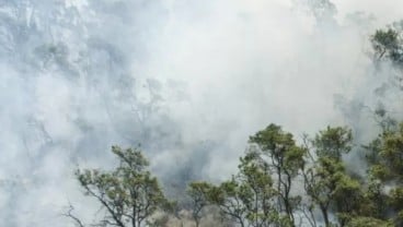 Karhutla Kawah Putih Mulai Padam, Namun Api Menjalar ke Pasirjambu