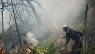 Kebakaran di Kawah Putih Mulai Padam, Api Pindah ke Pasir Jambu