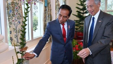 Ditemui Jokowi, PM Singapura Pamerkan Anggrek Hibrida 'Iriana Jokowi'