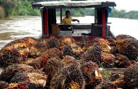 Berikut Sejumlah Persoalan Lingkungan Hidup di Kaltim