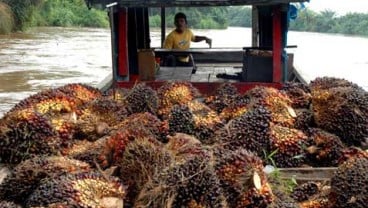 Berikut Sejumlah Persoalan Lingkungan Hidup di Kaltim