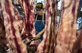 PT Berdikari Peroleh Rekomendasi Impor Daging Sapi Brasil