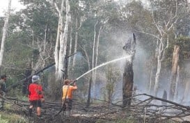 Hutan Kawasan Perhutan di Cikuray Garut Masih Terbakar